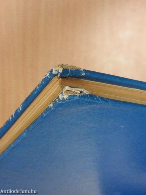 A gyógyító ember