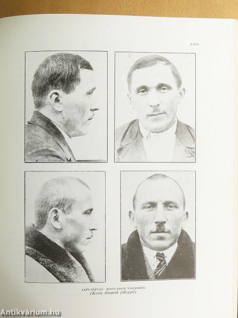Magyar föld, magyar faj I-IV.