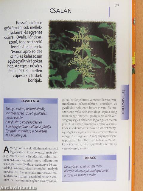 Gyógyhatású ételek