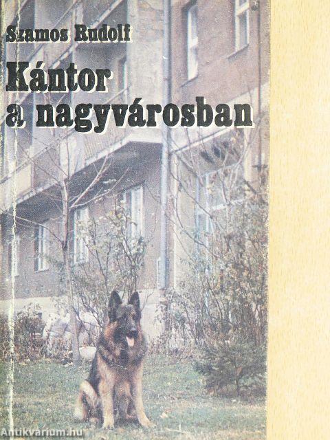 Kántor a nagyvárosban