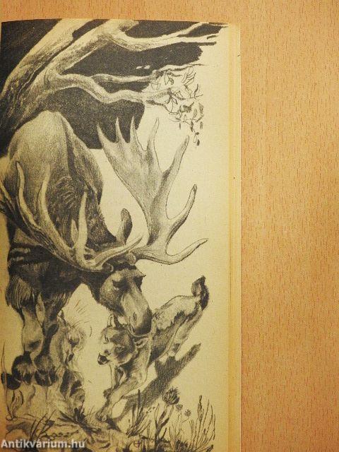 A vadon szava/A mexikói