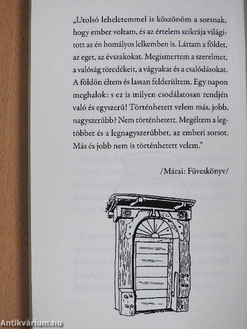Tűnődnivaló