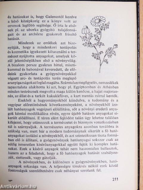 Takarítástól a szépségápolásig