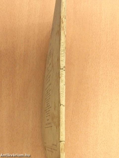 A költő