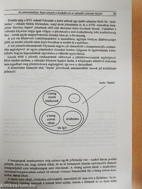 Lexikális jelentés, aktuális jelentés
