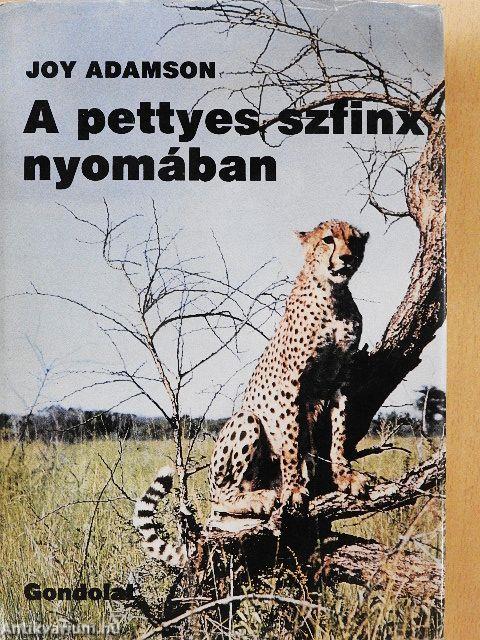 A pettyes szfinx nyomában