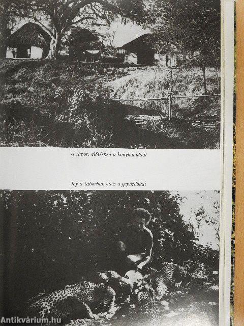 A pettyes szfinx nyomában