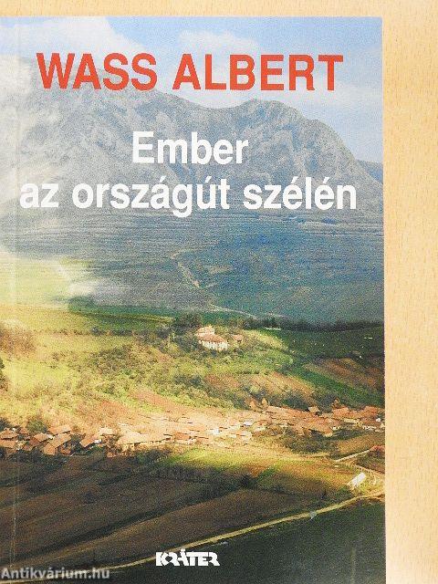 Ember az országút szélén