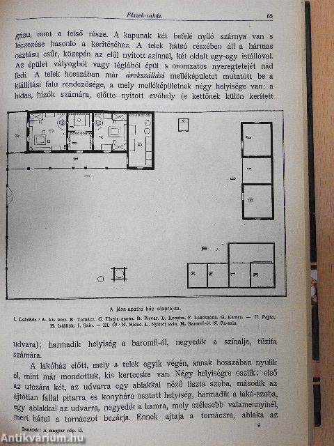 A magyar nép múltja és jelene II.
