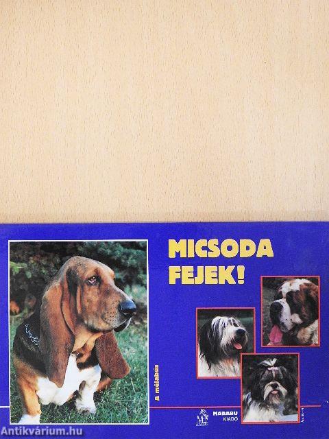 Micsoda fejek!