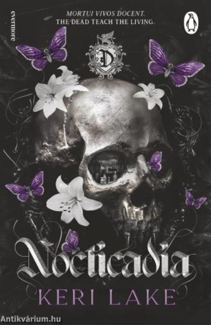 Nocticadia - angol