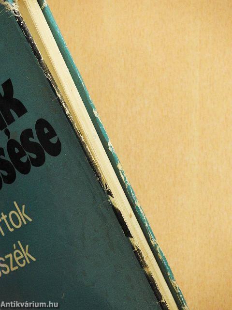 Magunk keresése