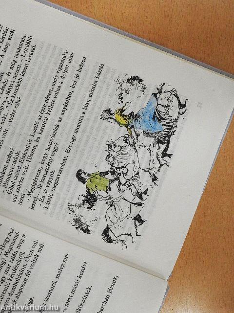 A koppányi aga testamentuma