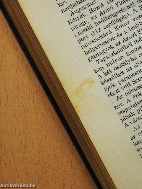 Harci riadó a flottánál