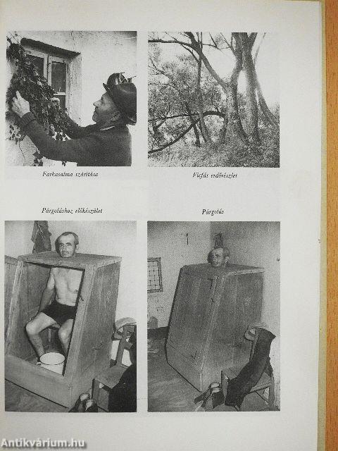 Népi gyógyítások Szatmárban