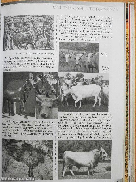 Arany Tarsoly 2012. január-december