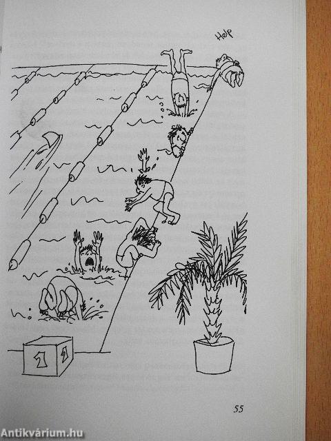 A nyelvtanulás művészetéről