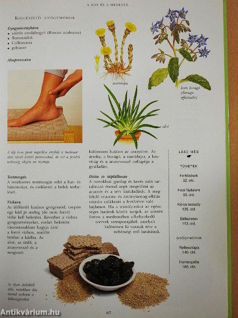 Kiegészítő gyógymódok