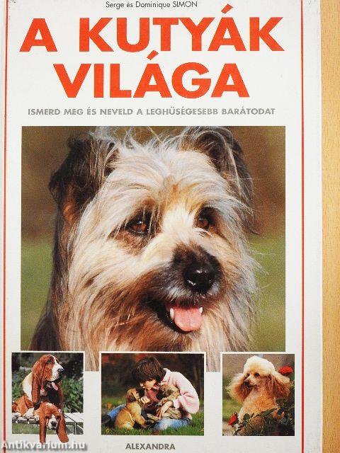 A kutyák világa