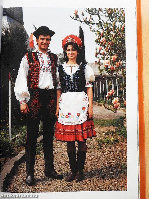 Kárpátalja