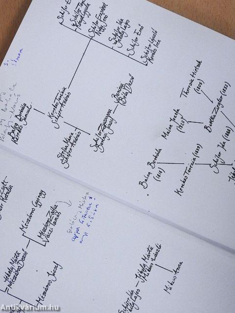 Mikecs Anna - Altató