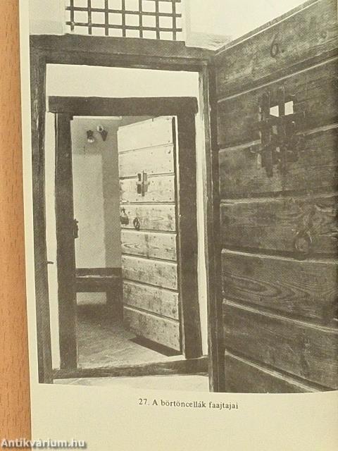 A dunaföldvári vár