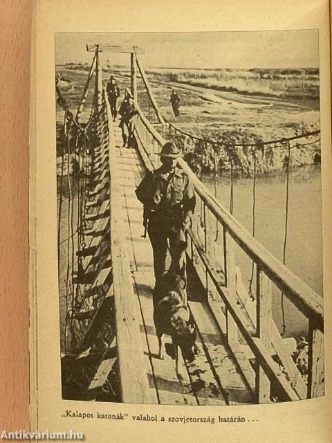 Barátok, fegyvertársak