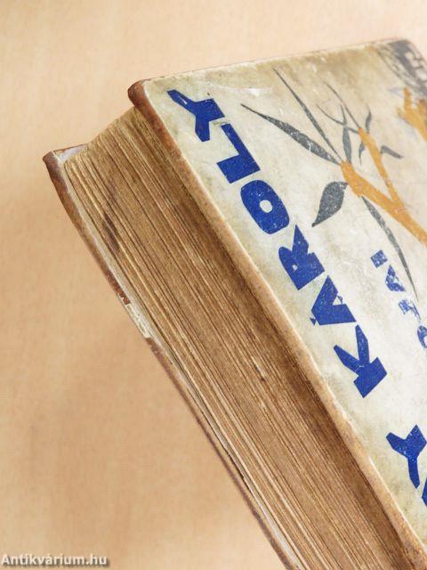 A szkipetárok földjén