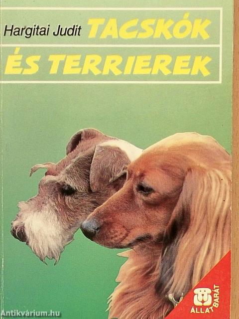 Tacskók és terrierek