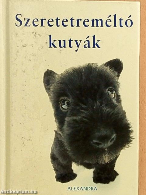 Szeretetreméltó kutyák