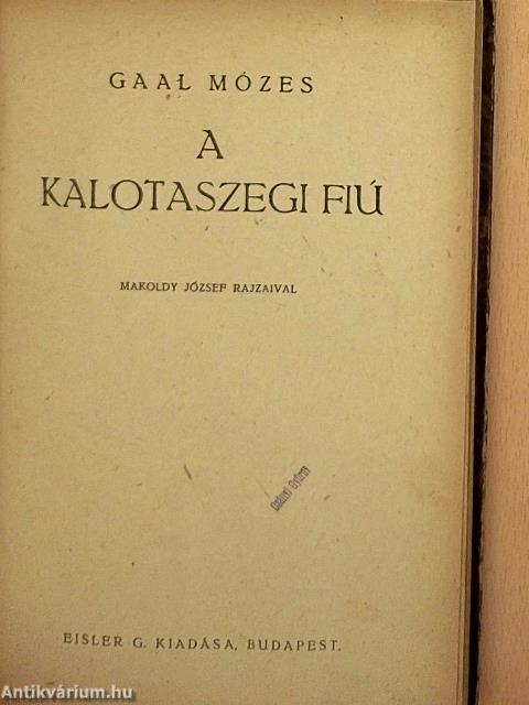 A kalotaszegi fiú