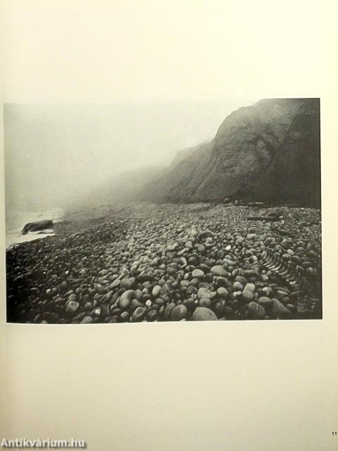 Camera Januar-Dezember 1973