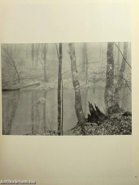 Camera Januar-Dezember 1973