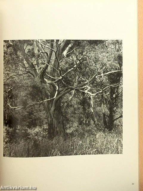 Camera Januar-Dezember 1976