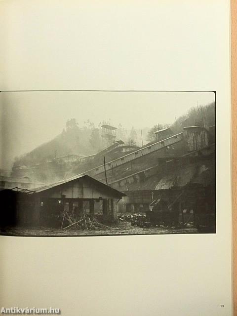 Camera Januar-Dezember 1976