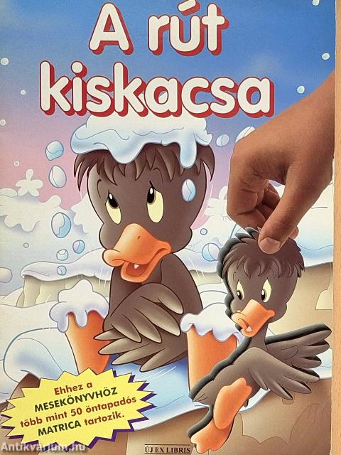 A rút kiskacsa