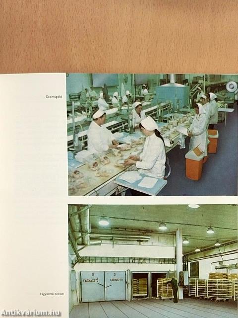 Szolnok kereskedelme