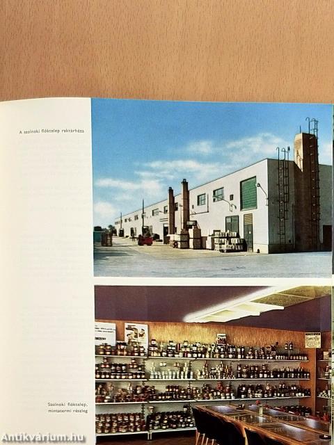 Szolnok kereskedelme