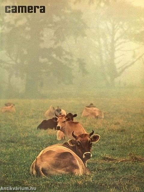 Camera Januar-Dezember 1974