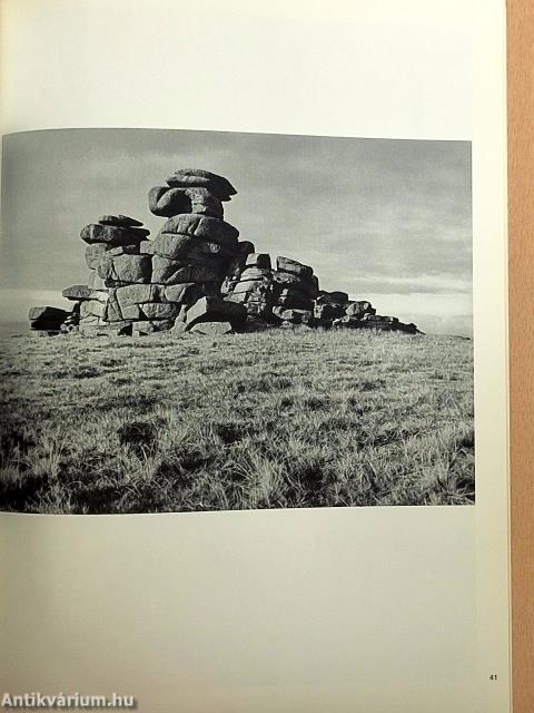 Camera Januar-Dezember 1974