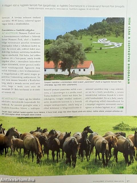 Világjáró 2009. augusztus