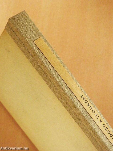 Így gondozd a Skodádat