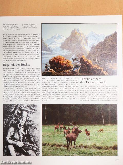 Das große ADAC-Alpenbuch