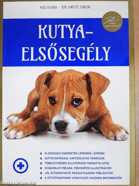 Kutyaelsősegély