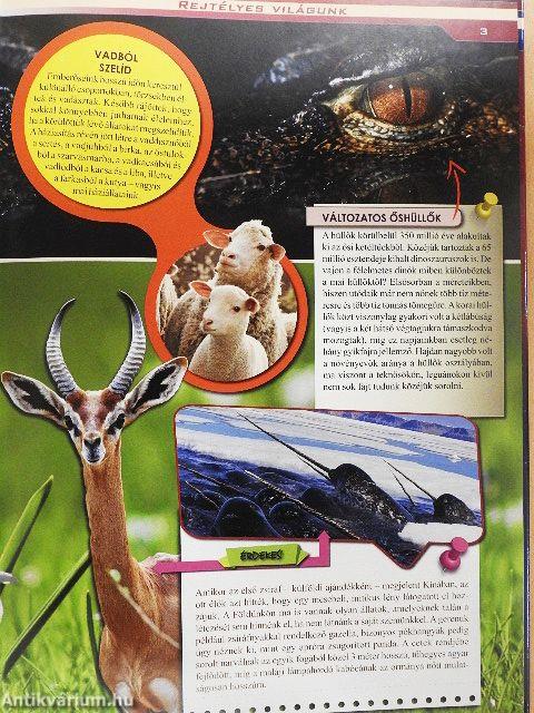 Rejtélyes világunk