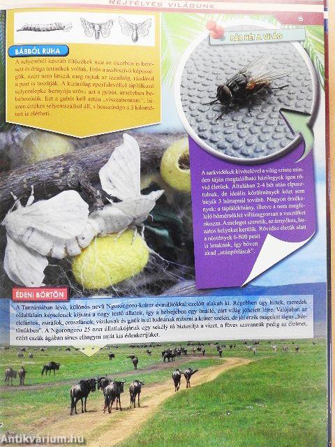 Rejtélyes világunk