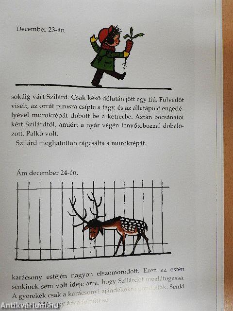 Szarvas Szilárd