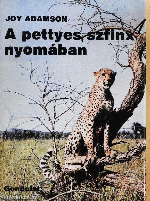 A pettyes szfinx nyomában