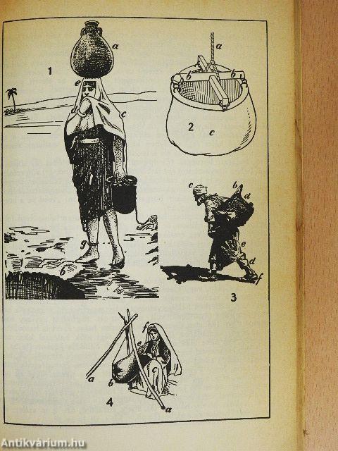 A Biblia világa képekben