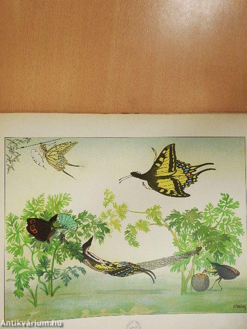 Sommervögel (gótbetűs)